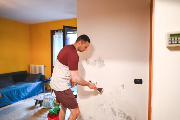 Best DIY Mold Remediation Support Services in Crugers, NY